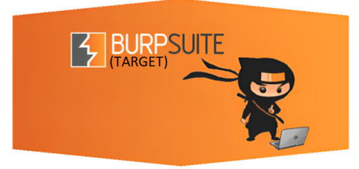 burp suite disable detect portal11 1