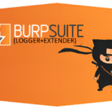 burp suite disable detect portal11 3