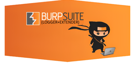 burp suite disable detect portal11 3
