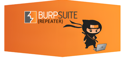 burp suite disable detect portal11