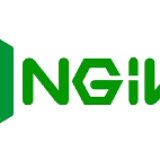 install and configure nginx proxy manager