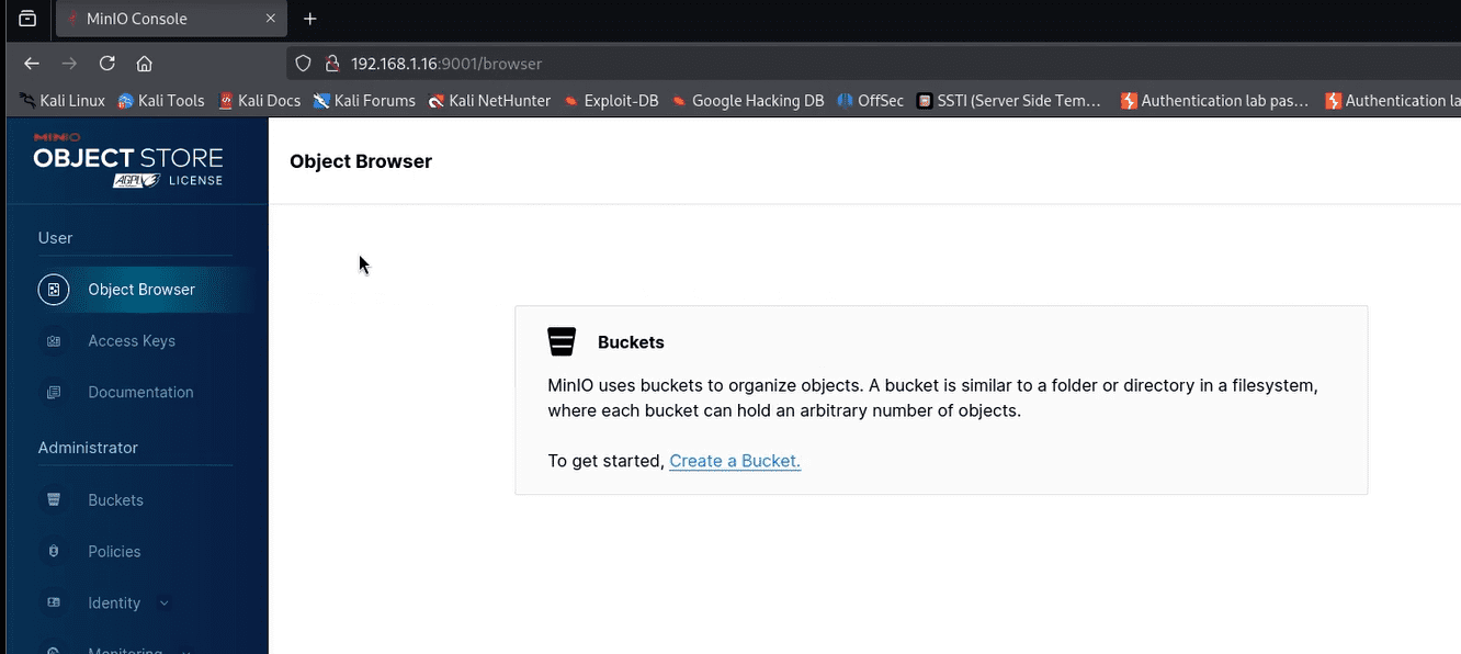 MinIO Information Disclosure - CVE-2023-28432 3 image 4